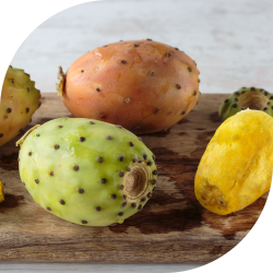 Fichi D’India Siciliani - Bastardoni di Militello in val di Catania